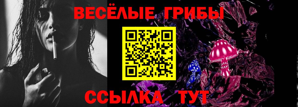 Кострома  Псилоцибиновые грибы Magic Shrooms  Галлюциногенные грибы GOLDEN TEACHER  Вход с VPN 
